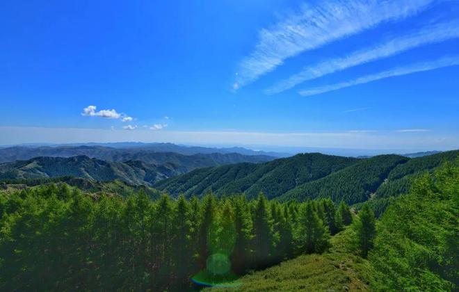 半岛综合体育【头条】倒计时3天！丰镇身边的苏木山森林音乐节来啦一起去看吧转发扩散(图22)